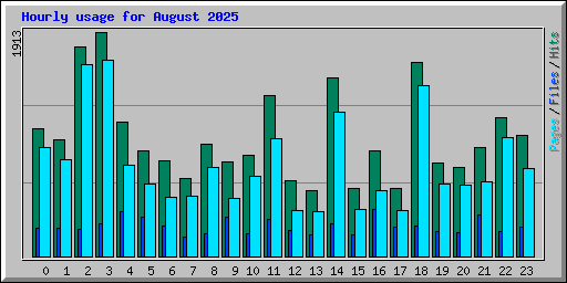 Hourly usage for August 2025