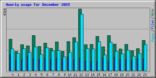 Hourly usage for December 2025