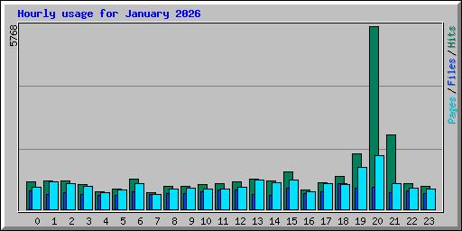 Hourly usage for January 2026